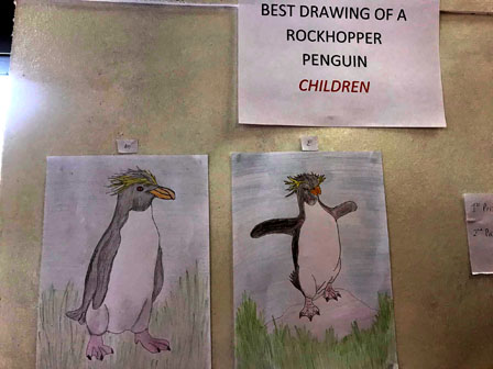Best drawing of a Rockhopper Penguin - Children