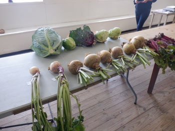Cabbage, Turnip and Beetroot classes