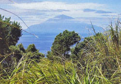 Tristan da Cunha from Nightingale Island postcard