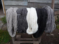 Skeins of Tristan 'wosted' wool yarn.