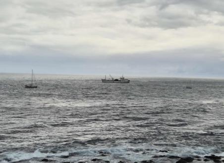 Yachts Auraz II and Nicolisa at anchor either side of the MFV Edinburgh (Photo: Fouche Conradie)