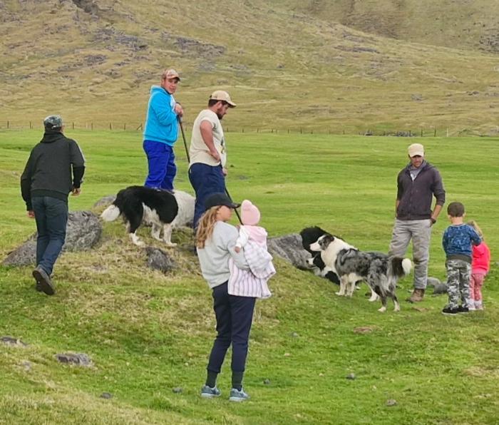 Families visit a ratting gang hunting among some rocks