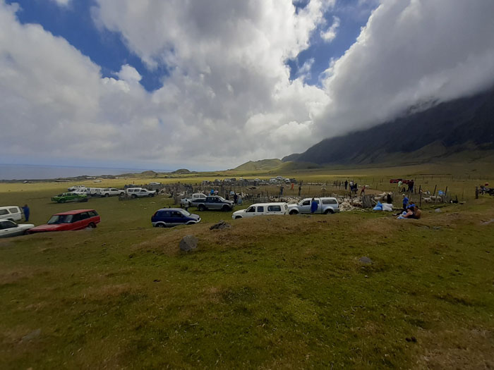View of bakkies and activity around the sheep pen