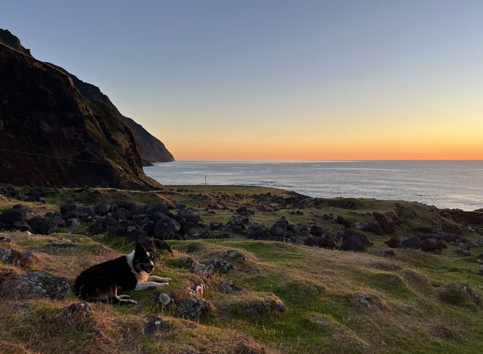 Steve’s dog at sunrise on 27th February.