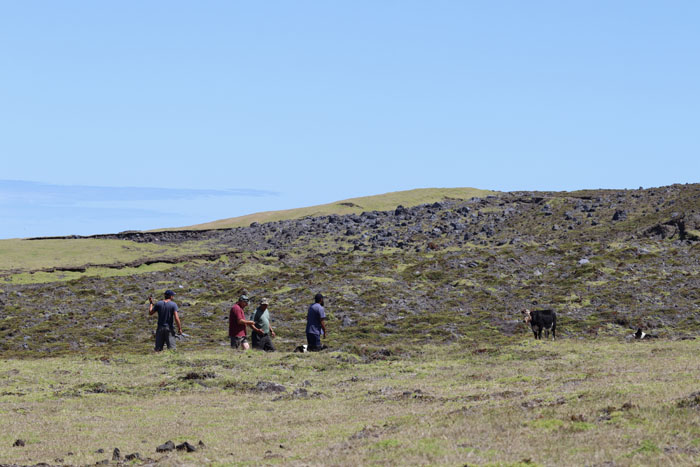 : (L->R) Steve, Andre, Martin and Eugene, and the wronged calf with his bleeding ears.