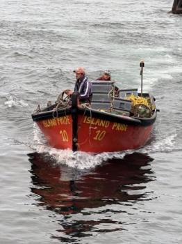Fishing boat arriving in Calshot harbour