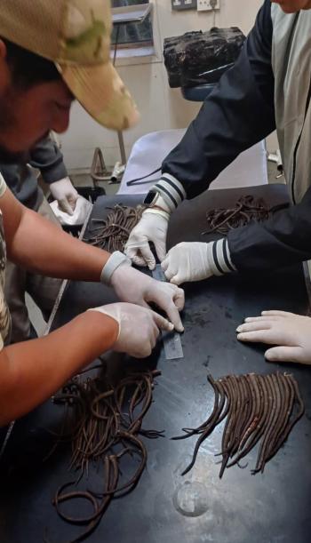 Right: Counting and measuring tails