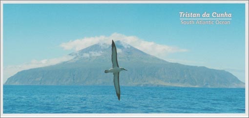 Tristan da Cunha and Albatross