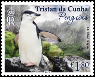 Penguins, £1.80 - Chinstrap Penguin
