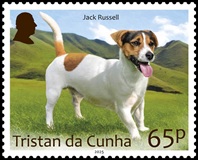 Dogs Part 1, 65p - Jack Russell