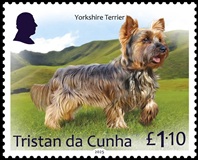 Dogs Part 1, £1.10 - Yorkshire Terrier
