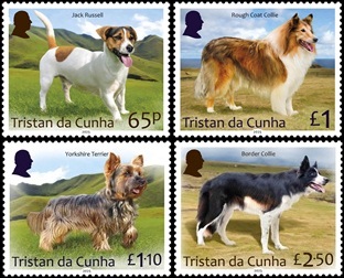 Dogs Part 1 Dogs Part 1