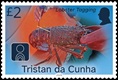 Blue Belt Programme, &pound;2.00, Coral Species