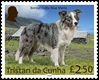 Dogs Part 2, £2.50 - Border Collie Blue Merle Dogs Part 2, £2.50 - Border Collie Blue Merle