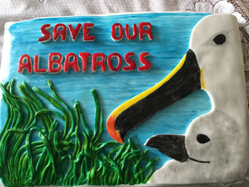 'Save our Albatross' cake