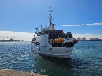 The MFV Edinburgh in Cape Town harbour, August 2025. Photo: Francois Marais