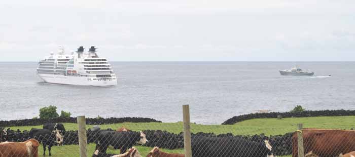 MS Seabourn Sojourn and MY Enigma XK off Tristan da Cunha.